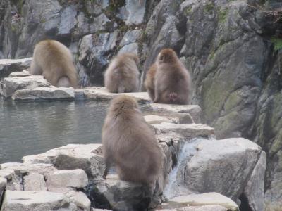 2021.12週末パスで行った長野（２）地獄谷野猿公苑、渋温泉郷、上田城(下)