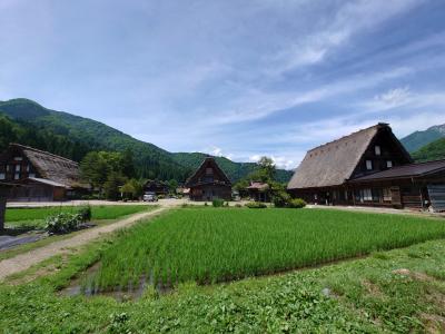 ちょっぴり久しぶりの高山旅行その2(ホテルチェックアウト～白川郷～高山市内編)