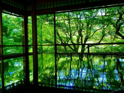 京都３泊４日　新緑、喫茶、お香、GW