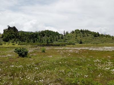 草津・志賀高原２０２２夏　【１】草津白根山周辺