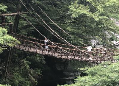 瀬戸内の味覚を味わう四国名所10景４日間　⑥　３日目の２　桂浜～祖谷のかずら橋