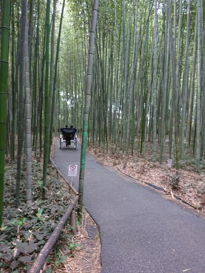 京都魅力発見プロジェクト１日目嵐山