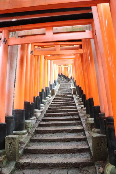 伏見稲荷大社のお山巡り