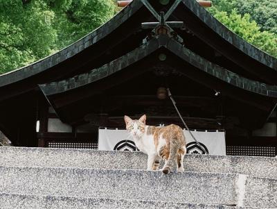 竹原、尾道ひとり旅