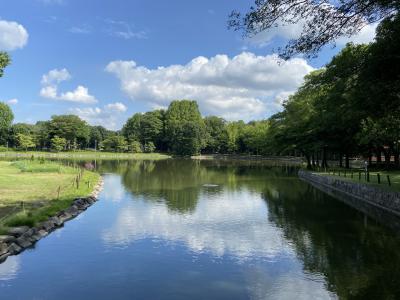 2022. 夏　遠くまでご飯食べに行ってます