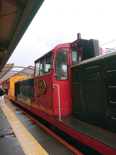 京都魅力発見プロジェクト 嵐山トロッコからの京都駅