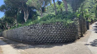 八丈島　①　八丈富士と植物園