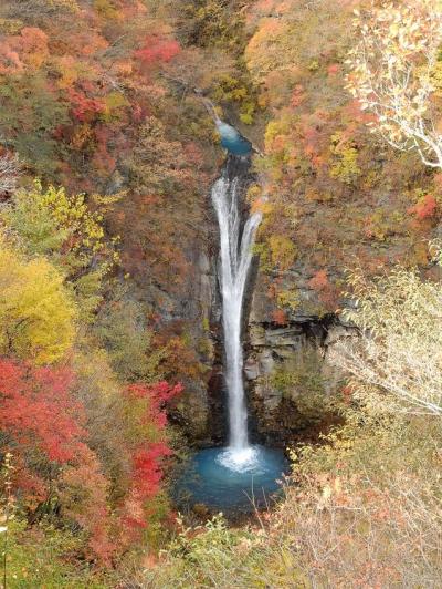 紅葉の駒止の滝を見に。那須平成の森歩き