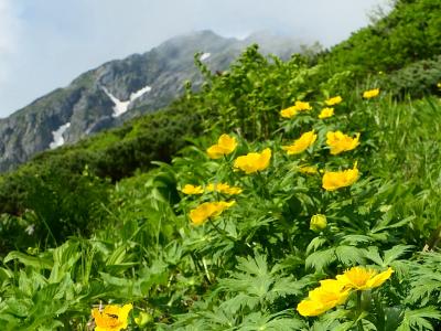 北岳に来ただけ～と叫びたかったダケじゃない　<<<憧憬の頂へ　２>>>