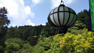 夏の長谷寺で一日楽しんだ旅@奈良県