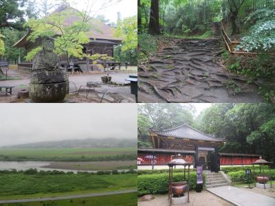 ちょこっと平泉＆仙台（毛越寺＆中尊寺＆高館義経堂＆瑞鳳殿＆大崎八幡宮＆牛タン）