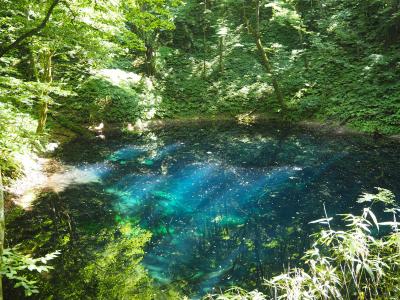 奥入瀬・十和田・白神山地ライトトレッキング　３泊４日