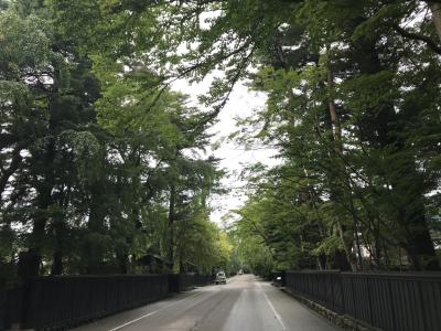 みちのく秋田県の小京都「角館」を歩く：単調な町並み