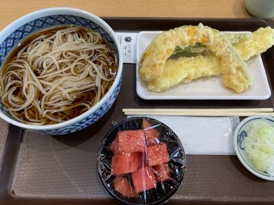 西馬音内盆おどり会館と旧長谷山邸に行く。西馬音内そばを食べ、茶房せんでアイスを食べる。