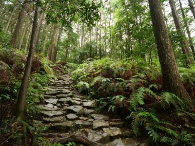 2022.07 熊野古道・馬越峠に行ってきた。