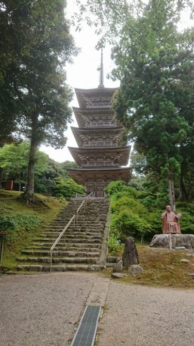 金沢から次女の運転で能登金剛・巌門と気多大社、妙成寺へ