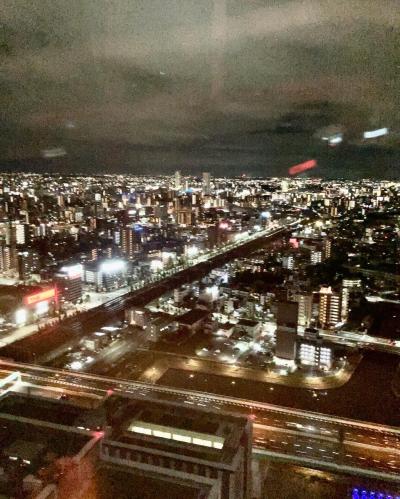 愛知県 夜景 に関する旅行記 ブログ フォートラベル