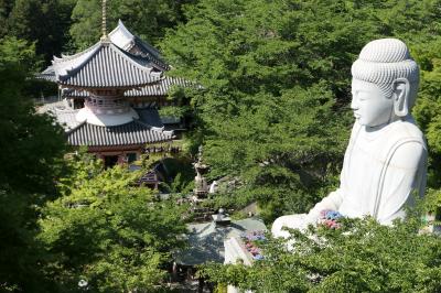 初夏の三重・奈良・京都♪　Vol.179 ☆高取町：「壺阪寺」♪