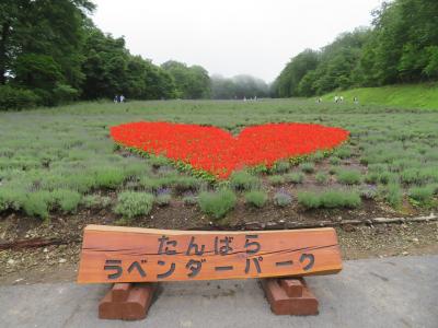 元女子会が行く　群馬編