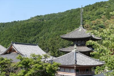 初夏の三重・奈良・京都♪　Vol.180 ☆高取町：「壺阪寺」♪