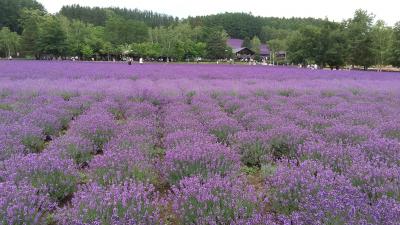 お一人様でちょこっと夏の北海道へ①