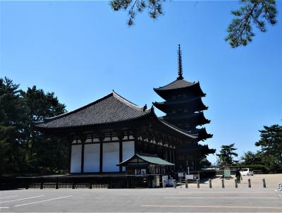 2022.6酷暑の中奈良へ3-ホテル日航奈良に宿泊，やまと庵本店で夕食，興福寺国宝館，奈良博のみよって，伊丹より帰京