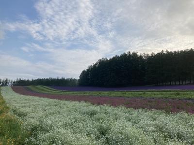 富良野日記⑦　7月　　普段の日 なんでもない日はカレーだよ