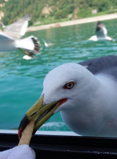 【1泊2日　初夏の新潟　ひとり旅】無性に海に沈む夕陽を見たくてここまで来たのさ、、の巻　２日目