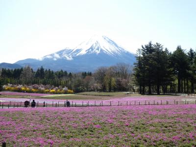 傘寿のお祝いに富士山の見える温泉宿へ