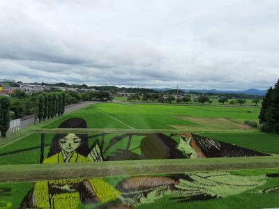 田んぼアートと温泉・南東北の味を楽しむ旅