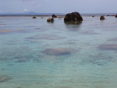 夏！！　沖永良部島周遊からフェリーで徳之島へ