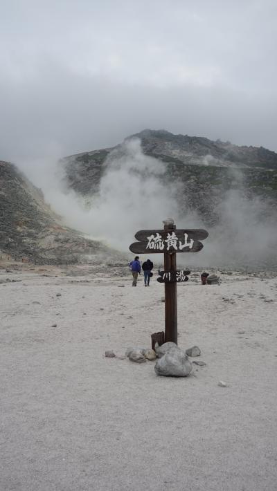 ２０２２年、コロナ感染が下火の初夏に北海道東部へ一人旅　４．博物館と釧路湿原で釧路の歴史と自然を堪能