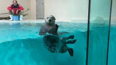 2022☆東海旅③【鳥羽水族館】