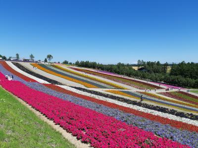 FDAで行く夏の北海道②青い池から美瑛の丘巡り…言葉はいらない美しさ