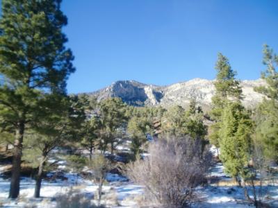 ネバダ州 マウント チャールストン　－　ラスベガスからクルマで1時間でネバダ州一高い山へ　