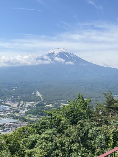 どうしても会いたくて・・・また会いに行きます