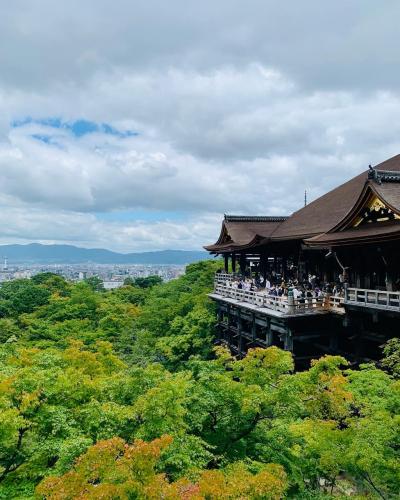 2022年7月　夏の京都　久々のぷらっと散歩　清水寺と鴨川とかき氷