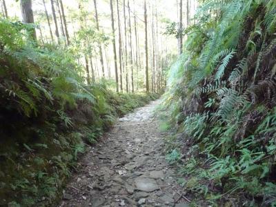 熊野古道を歩く（１日目）