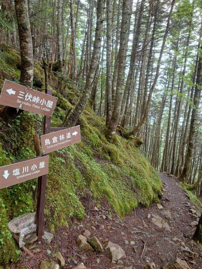 にわか山が～塩見岳に立つ？