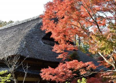 笠間日動美術館でシルバニア そして紅葉の春風萬里荘