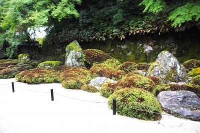 そうだ！京都へ行こう！　その10　雨の中、八坂神社から円山公園を抜けて知恩院へ。
