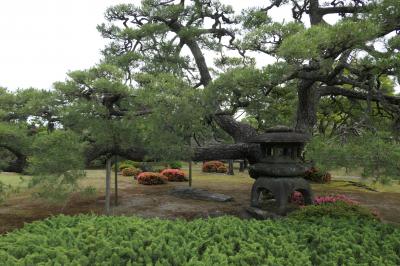 初夏の三重・奈良・京都♪　Vol.206 ☆京都：「二条城」♪