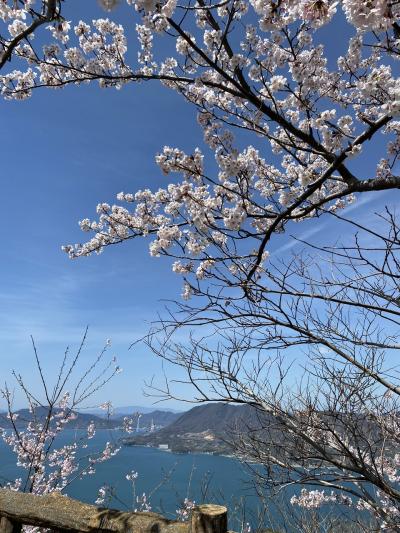 尾道と岩城島で桜と瀬戸内を満喫