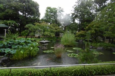 西新井大師ー「風鈴祭り」に行ったのだけど・・・