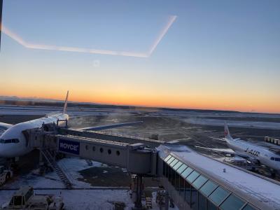 マチュピチュに行こうと計画したらファーストクラスで世界一周になった。その23