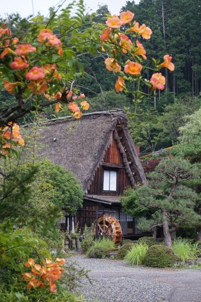 首都圏と飛騨高山ぐるっと一筆書きの旅。下呂温泉で合掌村と花火大会を堪能しました！