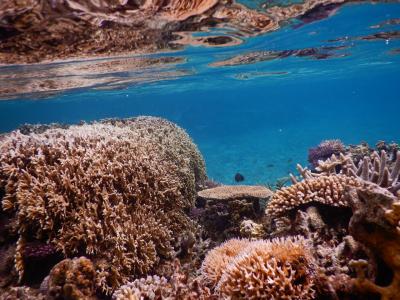 シュノーケリング海旅ルーティン