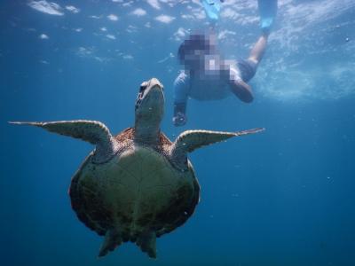 宮古島で遊ぶ食べる 街中のnewホテル 海ガメとシュノーケリング 4days☆前編☆