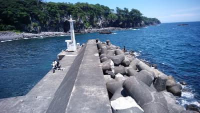 伊東で海釣り