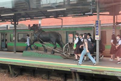 北海道への日帰り三角形の旅。ただ底辺？（帯広～旭川）になるところは時間かかった。